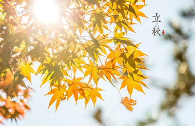 立秋養(yǎng)生：順應(yīng)時節(jié)，調(diào)養(yǎng)身心