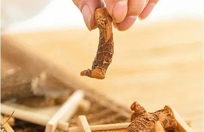 夏日三伏，教你如何科學(xué)養(yǎng)生，飲食指南讓你健康又消暑…